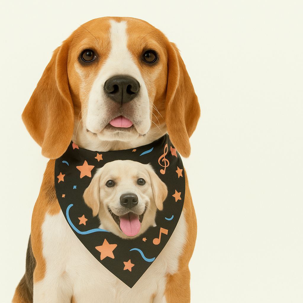 Beagle trägt personalisiertes Hundehalsband mit Foto auf schwarzem Halstuch mit Sternen und Noten