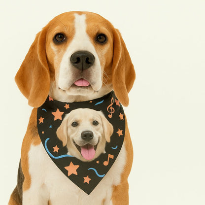 Beagle trägt personalisiertes Hundehalsband mit Foto auf schwarzem Halstuch mit Sternen und Noten